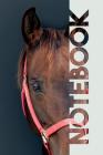 Notebook: Horse Bridle Vibrant Composition Book for Equine Therapy Care By Molly Elodie Rose Cover Image