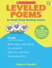 Leveled Poems for Small-Group Reading Lessons: 40 Reproducible Poems With Mini-Lessons for Guided Reading Levels E-N By Pamela Chanko Cover Image