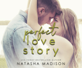 Perfect Love Story Cover Image