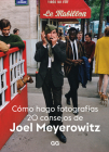 Cómo hago fotografías: 20 consejos de Joel Meyerowitz By Miguel Cisneros Perales (Translated by), Joel Meyerowitz Cover Image