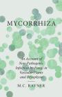 Mycorrhiza - An Account of Non-Pathogenic Infection by Fungi in Vascular Plants and Bryophytes Cover Image