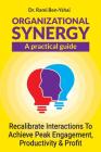 Organizational Synergy - A Practical Guide: Recalibrate Interactions to achieve Peak engagement, productivity & Profit By Rami Ben-Yshai Cover Image