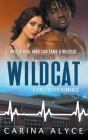 Wildcat: A Firefighter Romance Cover Image