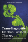 Transdiagnostic Emotion-Focused Therapy: A Clinical Guide for Transforming Emotional Pain By Ladislav Timulak, Daragh Keogh Cover Image