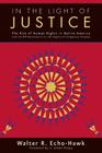 In the Light of Justice: The Rise of Human Rights in Native America and the UN Declaration on the Rights of Indigenous Peoples By Walter R. Echo-Hawk, Anaya S. James Cover Image