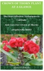 Crown Of Thorn Plant At A Glance: The Most Effective Techniques to Cultivate And Care For Crown of Thorns (Euphordia Milii) By Elvis O. Smith Cover Image