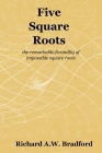 Five Square Roots: the remarkable fecundity of impossible square roots Cover Image