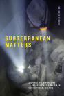 Subterranean Matters: Cooperative Mining and Resource Nationalism in Plurinational Bolivia (Elements) Cover Image