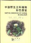 Native Orchids of China in Colour Cover Image