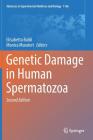 Genetic Damage in Human Spermatozoa (Advances in Experimental Medicine and Biology #1166) By Elisabetta Baldi (Editor), Monica Muratori (Editor) Cover Image