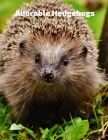 Adorable Hedgehogs Full-Color Picture Book: Hedgehog Picture Book for Children, Seniors and Alzheimer's Patients -Nature Animals By Fabulous Book Press Cover Image