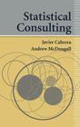 Statistical Consulting By Javier Cabrera, Andrew McDougall Cover Image