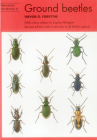 Ground beetles (Naturalists' Handbooks) Cover Image