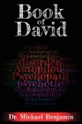 Book of David: A Manifesto for the Revolution in Mental Healthcare By Michael Benjamin Cover Image