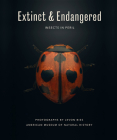 Extinct & Endangered: Insects in Peril By Levon Biss (By (photographer)), American Museum of Natural History Cover Image