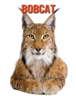 Bobcat: Learn About Bobcat and Enjoy Colorful Pictures By Diane Jackson Cover Image