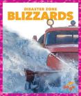 Blizzards (Disaster Zone) By Cari Meister Cover Image