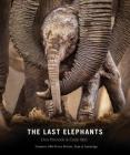 The Last Elephants By Don Pinnock (Compiled by), Colin Bell (Compiled by), Prince William Duke of Cambridge (Foreword by) Cover Image