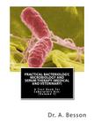 Practical Bacteriology, Microbiology and Serum Therapy (Medical and Veterinary): A Text Book for Laboratory Use [Volume 1] By H. J. Hutchens D. S. O. (Translator), A. Besson Cover Image