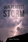 Our Perfect Storm Cover Image