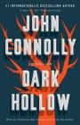 Dark Hollow: A Charlie Parker Thriller By John Connolly Cover Image