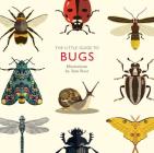 The Little Guide to Bugs By Tom Frost (Illustrator), Alison Davies (Text by) Cover Image