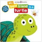 My Best Friend Is A Turtle Cover Image