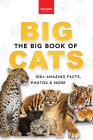 The Big Book of Big Cats: 100+ Amazing Facts About Lions, Tigers, Leopards, Snow Leopards & Jaguars By Jenny Kellett Cover Image