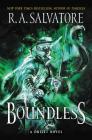 Boundless: A Drizzt Novel (Generations #2) By R. A. Salvatore Cover Image