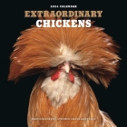Extraordinary Chickens 2024 Wall Calendar By Stephen Green-Armytage Cover Image
