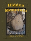 Hidden Mountain By Laura J. Blake McBride Cover Image