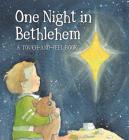 One Night In Bethlehem By Jill Roman Lord Cover Image