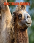 Bactrian Camel: Beautiful Pictures & Interesting Facts Children Book About Bactrian Camel Cover Image