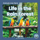 Life in the Rain Forest By Connor Stratton Cover Image