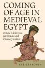 Coming of Age in Medieval Egypt: Female Adolescence, Jewish Law, and Ordinary Culture Cover Image