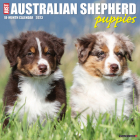 Just Australian Shepherd Puppies 2023 Wall Calendar By Willow Creek Press Cover Image