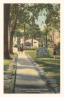 Vintage Journal Walk of Fame, Rollins College, Florida By Found Image Press (Producer) Cover Image