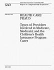 Health Care Fraud: Types of Providers Involved in Medicare, Medicaid, and the Children's Health Insurance Program Cases Cover Image