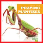 Praying Mantises (Insect World) By Mari C. Schuh Cover Image