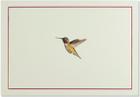Note Card Hummingbird Flight Cover Image