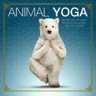 Animal Yoga By Willow Creek Press Cover Image