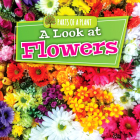 A Look at Flowers (Parts of a Plant) By Lindsey Lowe Cover Image