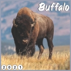 Buffalo: 2021 Wall & Office Calendar By Youba Youba Cover Image