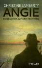 Angie - Es geschah auf dem Heimweg: Thriller By Christine Lamberty Cover Image