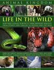 Animal Kingdom: Life in the Wild: How Wild Animals Survive in Their Different Habitats, from Deserts and Jungles to Oceans and the Ski By Michael Chinery Cover Image