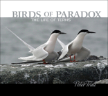Birds of Paradox: The Life of Terns By Peter Trull Cover Image
