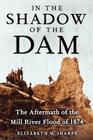 In the Shadow of the Dam: The Aftermath of the Mill River Flood of 1874 By Elizabeth M. Sharpe Cover Image