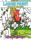 Large Print Adult Coloring Book Color By Number: Springtime Designs By Made You Smile Press Cover Image