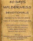 40 Days in the Wilderness Addiction Recovery Devotionals and Bible Studies By Don Johnson Cover Image