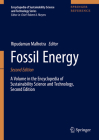 Fossil Energy (Encyclopedia of Sustainability Science and Technology) By Ripudaman Malhotra (Editor) Cover Image
